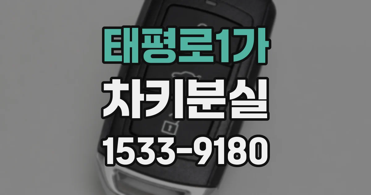 태평로1가 차키분실