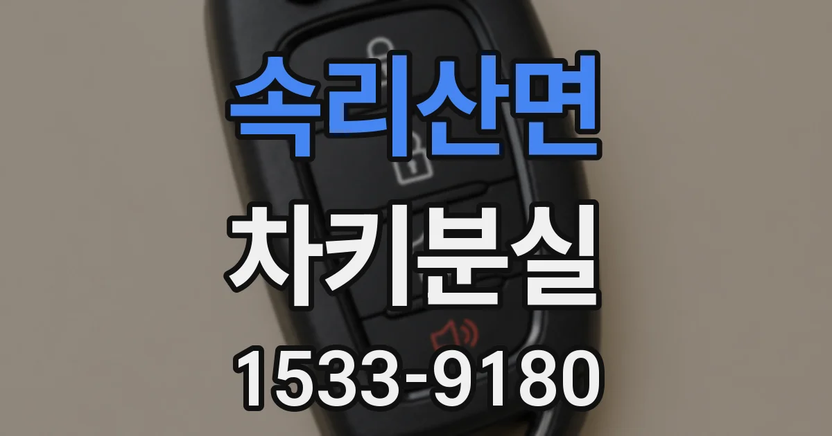속리산면 차키분실