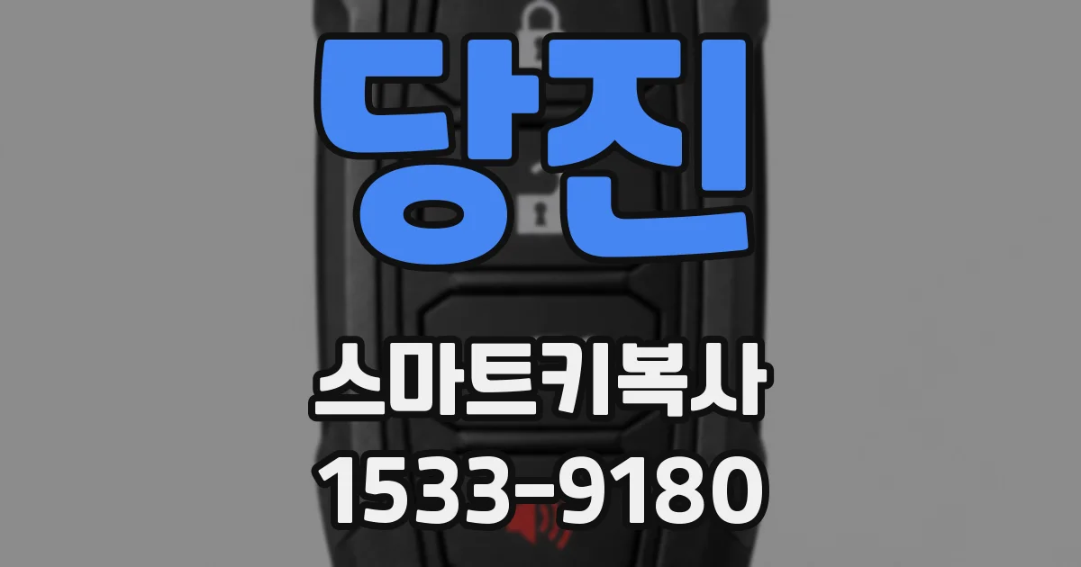 당진 스마트키복사
