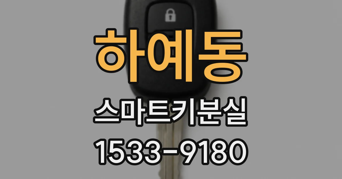 하예동 스마트키분실