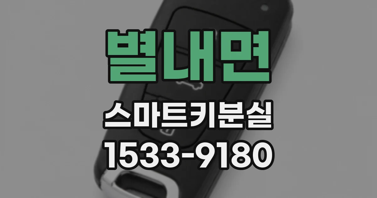 별내면 스마트키분실