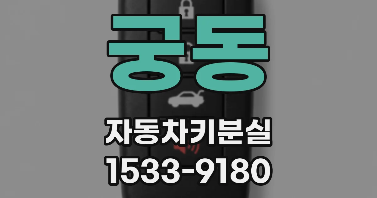 궁동 자동차키분실