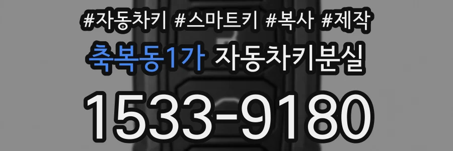 축복동1가 자동차키분실