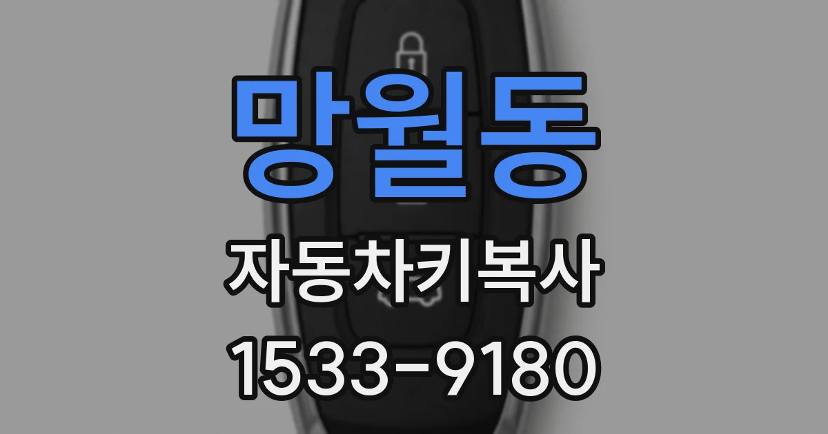 망월동 자동차키복사