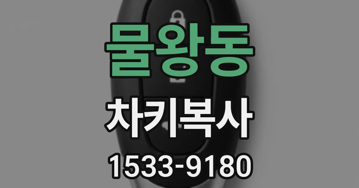 물왕동 차키복사