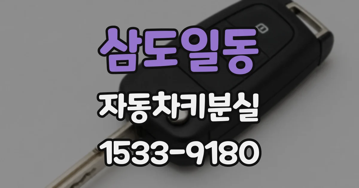 삼도일동 자동차키분실