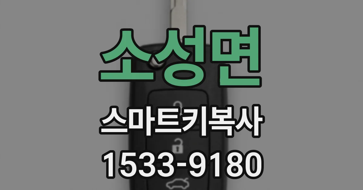 소성면 스마트키복사
