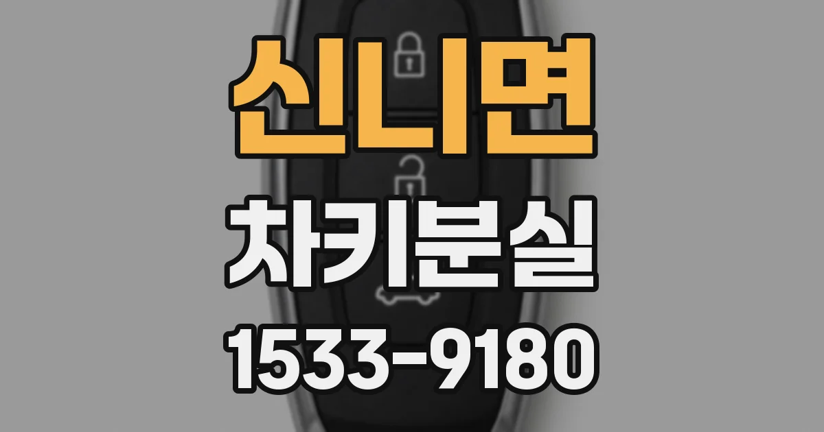 신니면 차키분실