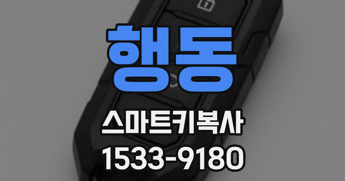 행동 스마트키복사