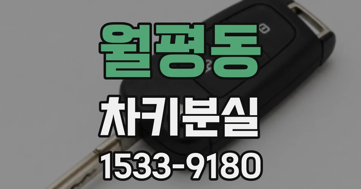 월평동 차키분실