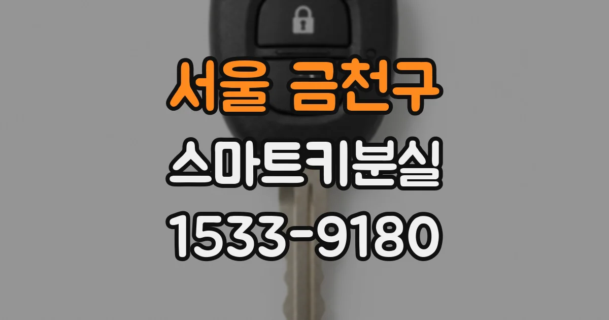 서울 금천구 스마트키분실