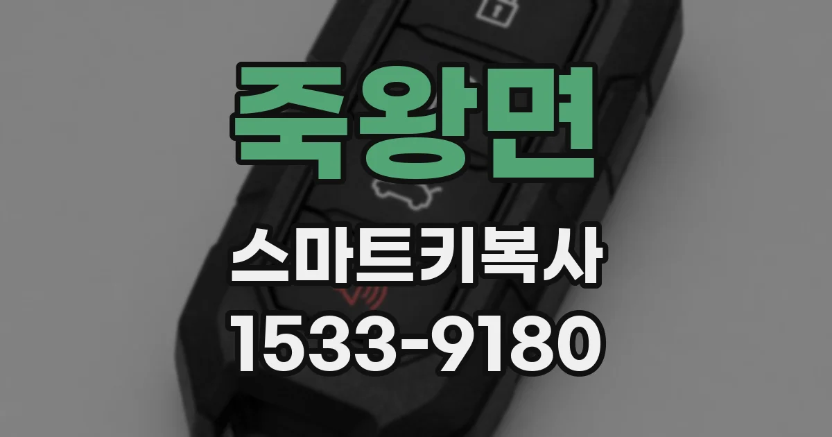 죽왕면 스마트키복사