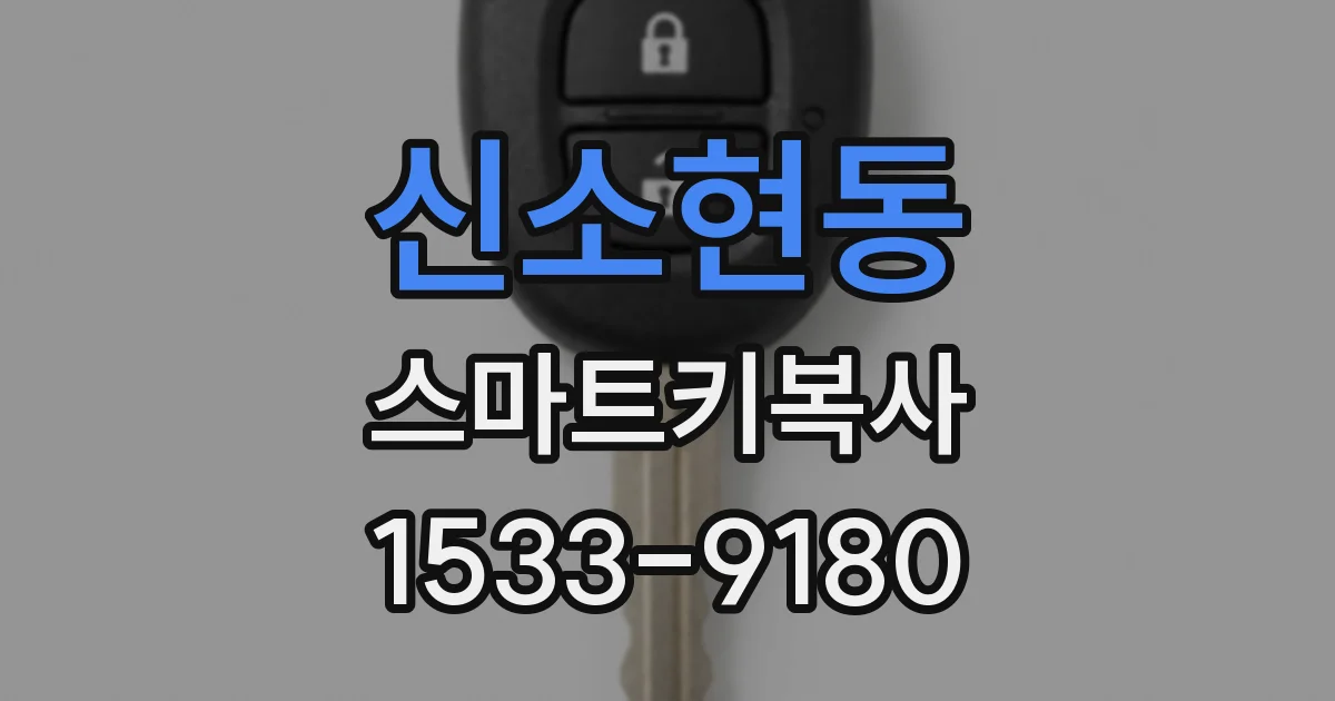 신소현동 스마트키복사