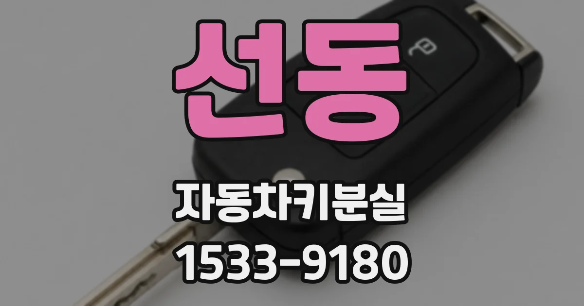 선동 자동차키분실