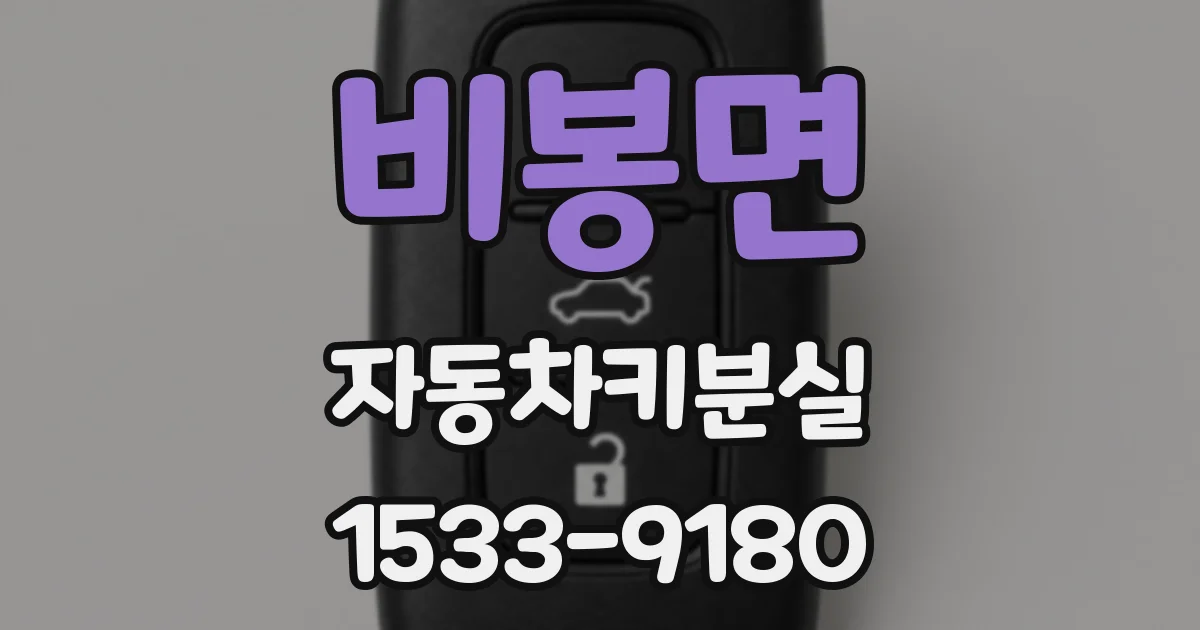 비봉면 자동차키분실