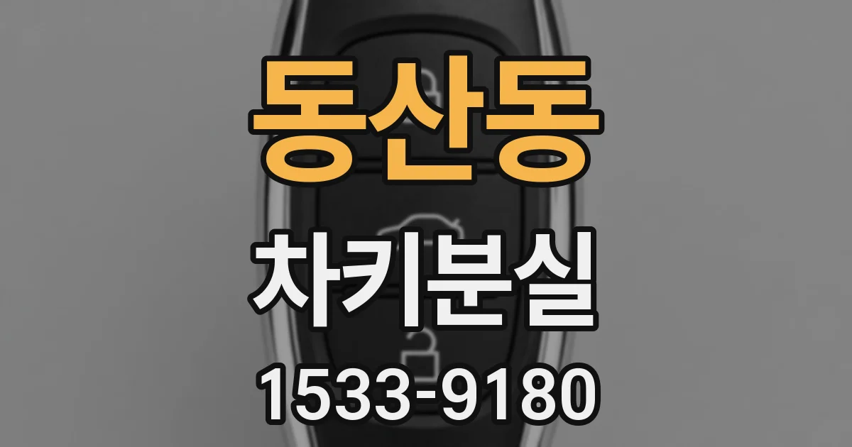 동산동 차키분실