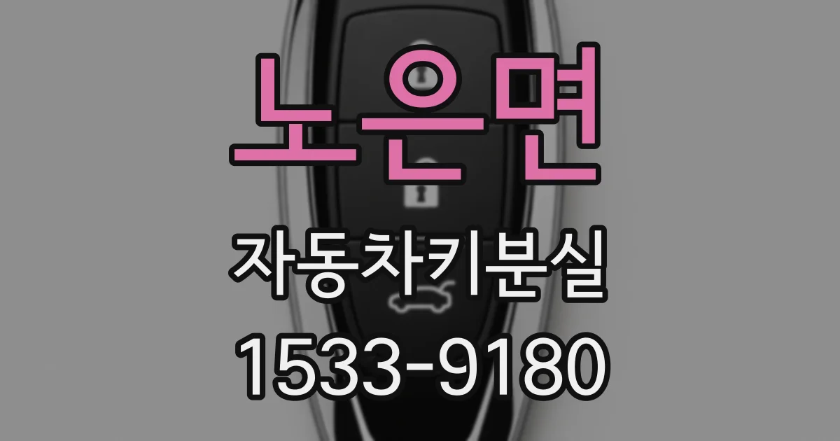노은면 자동차키분실