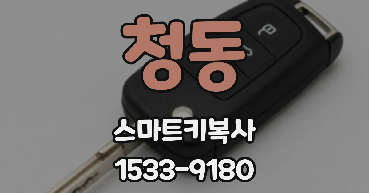 청동 스마트키복사