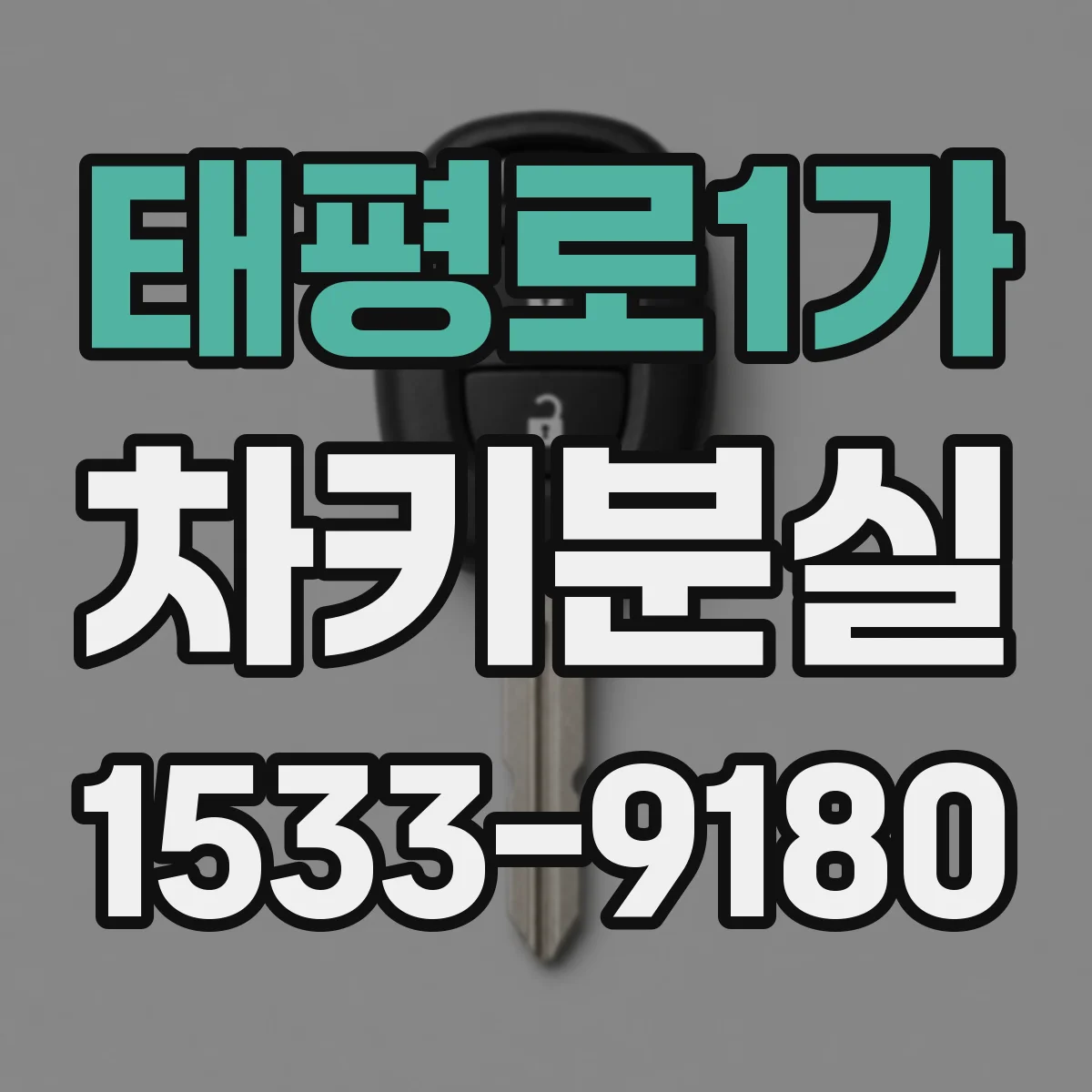 태평로1가 차키분실
