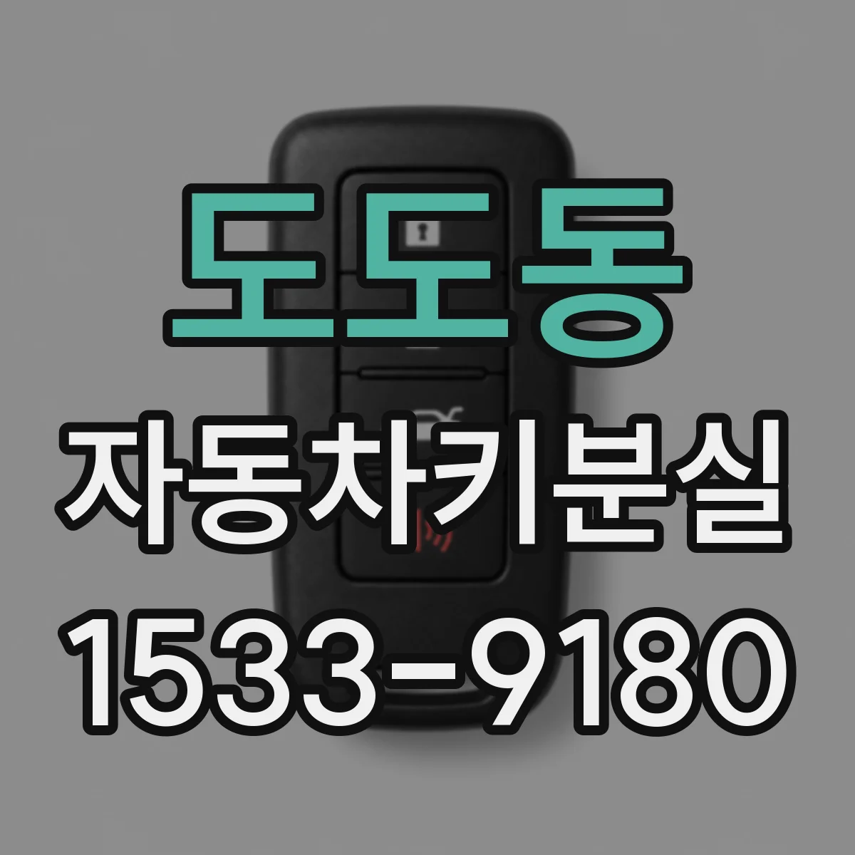 도도동 자동차키분실