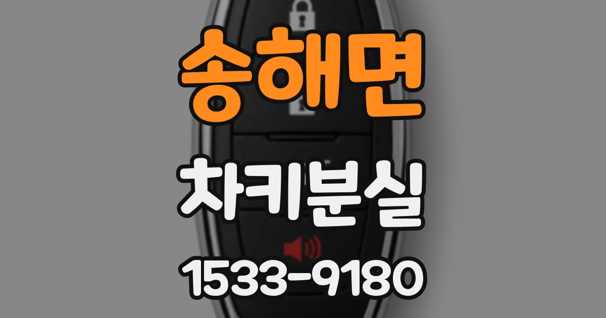 송해면 차키분실