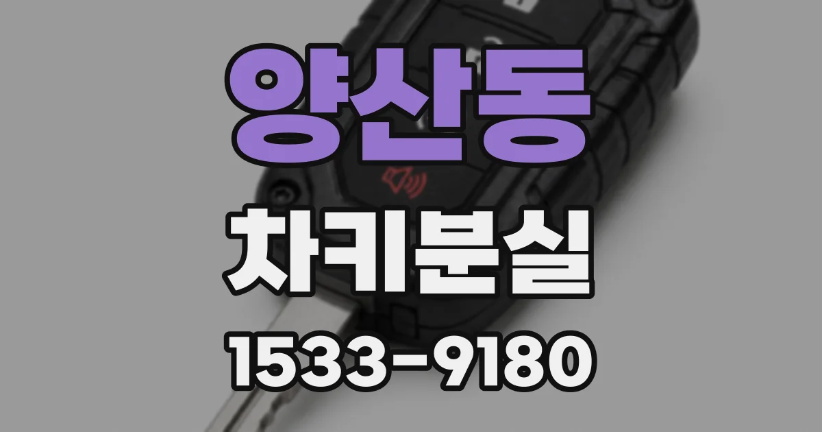 양산동 차키분실