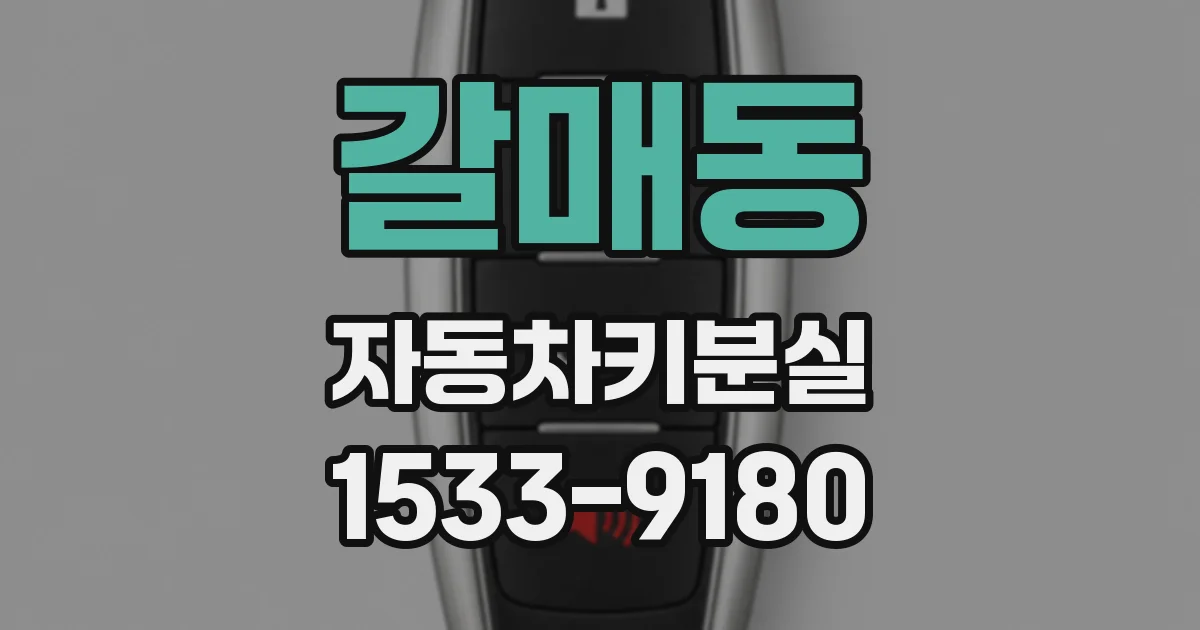 갈매동 자동차키분실