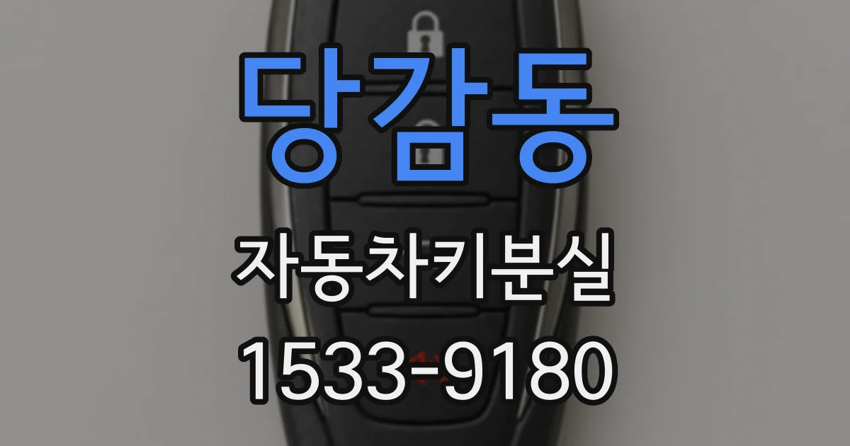 당감동 자동차키분실