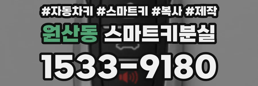 원산동 스마트키분실