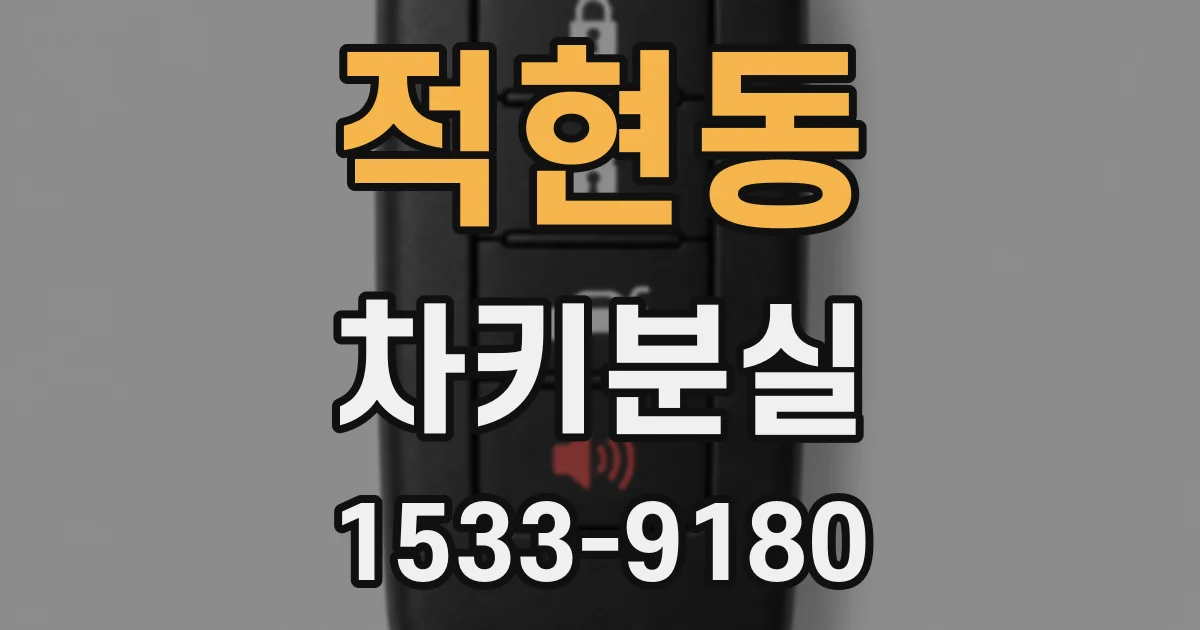 적현동 차키분실