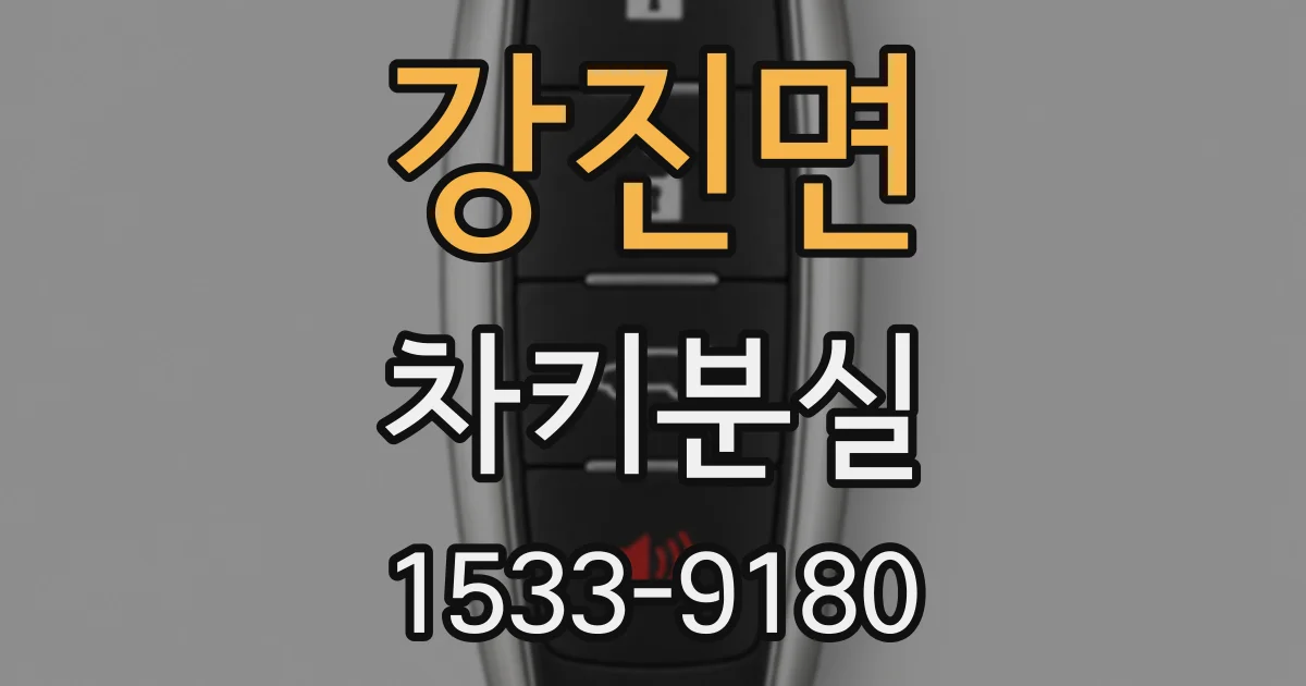 강진면 차키분실