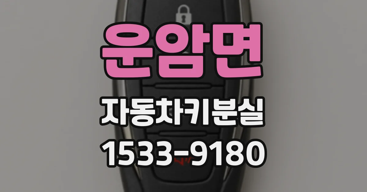 운암면 자동차키분실
