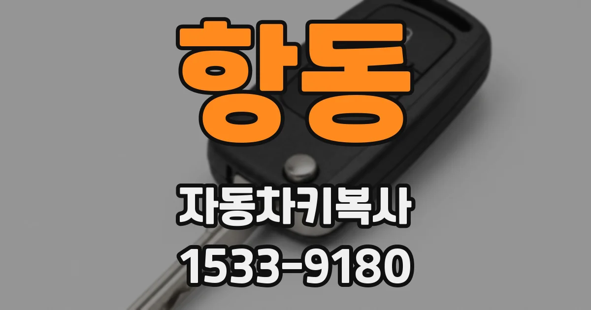 항동 자동차키복사
