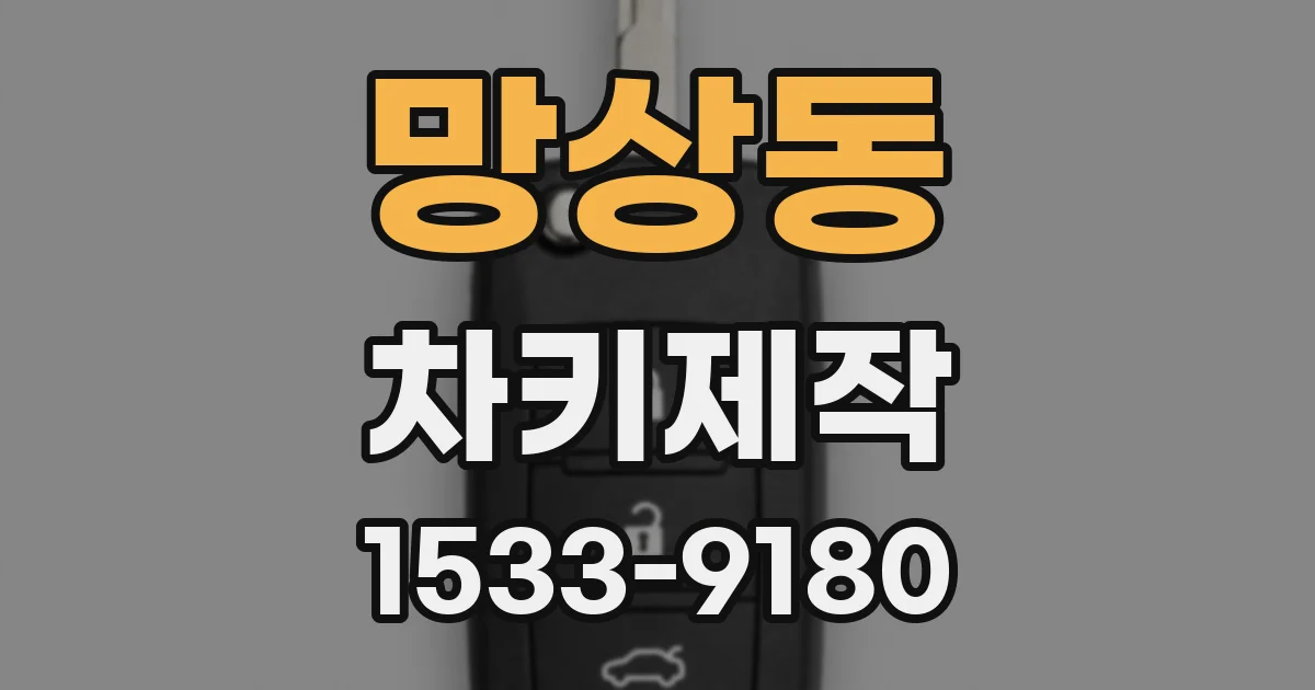 망상동 차키제작