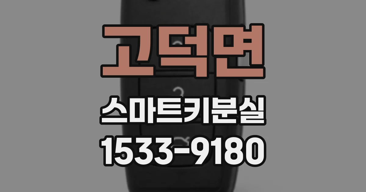 고덕면 스마트키분실