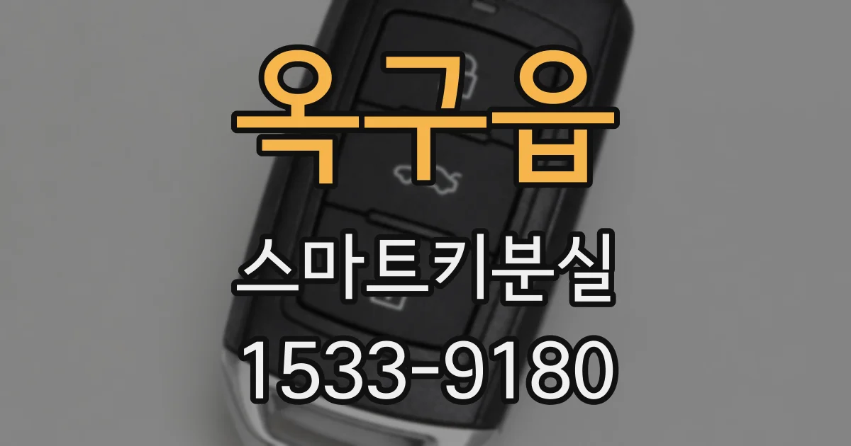 옥구읍 스마트키분실