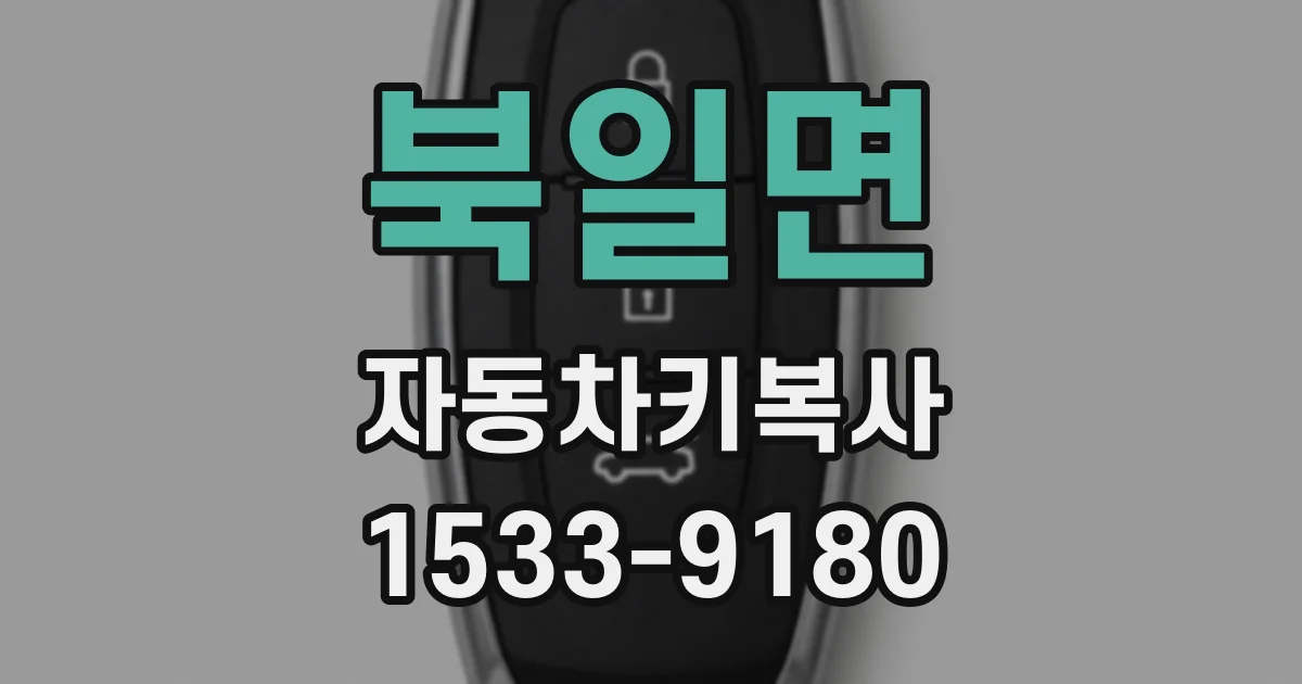 북일면 자동차키복사