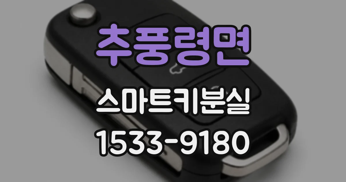추풍령면 스마트키분실
