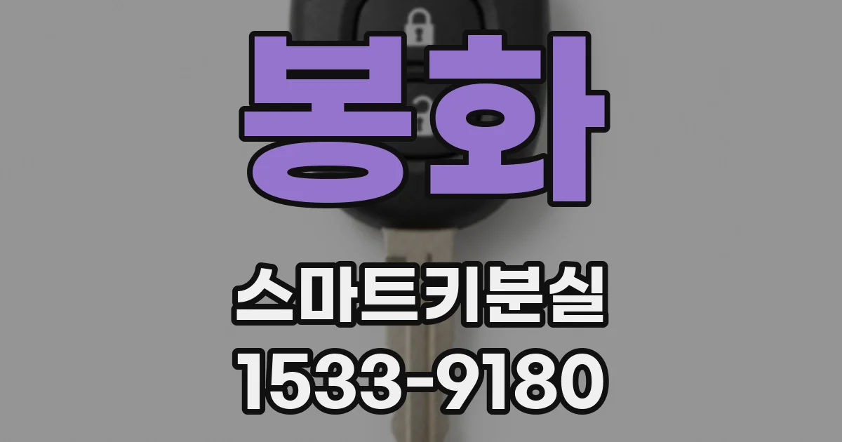 봉화 스마트키분실