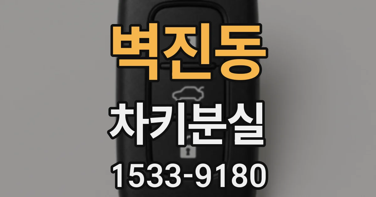 벽진동 차키분실