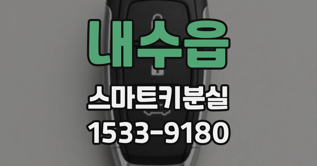 내수읍 스마트키분실