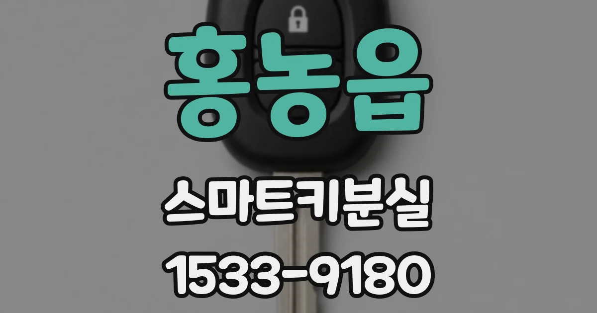 홍농읍 스마트키분실