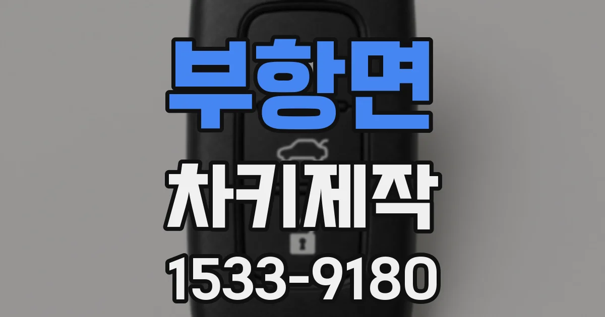 부항면 차키제작