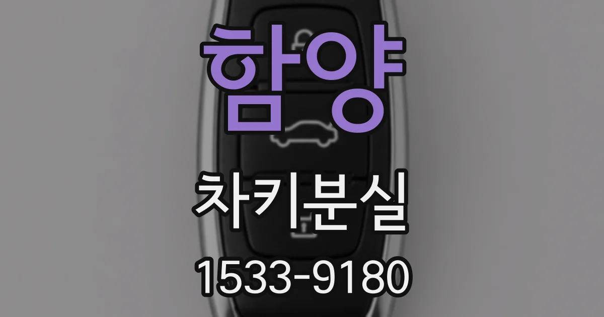 함양 차키분실