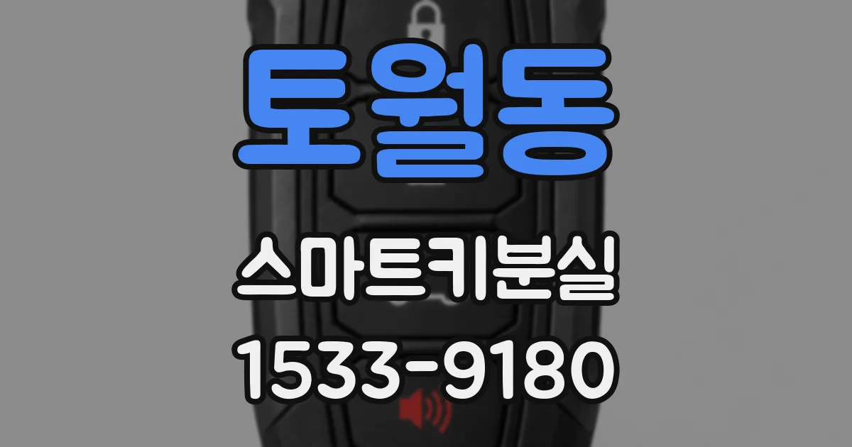 토월동 스마트키분실