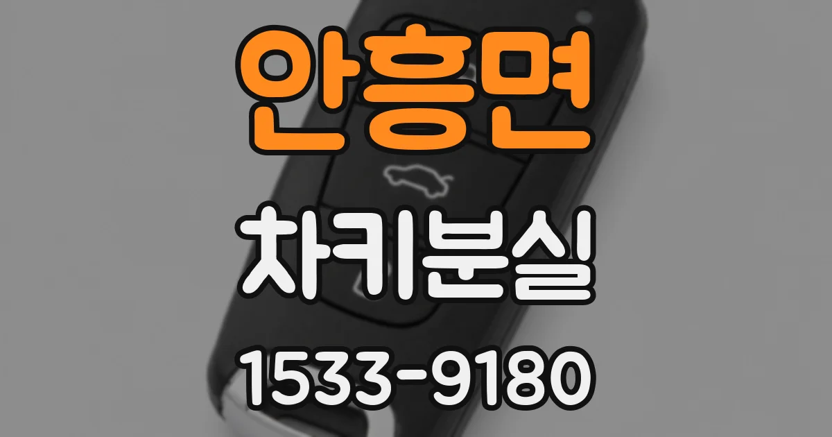 안흥면 차키분실