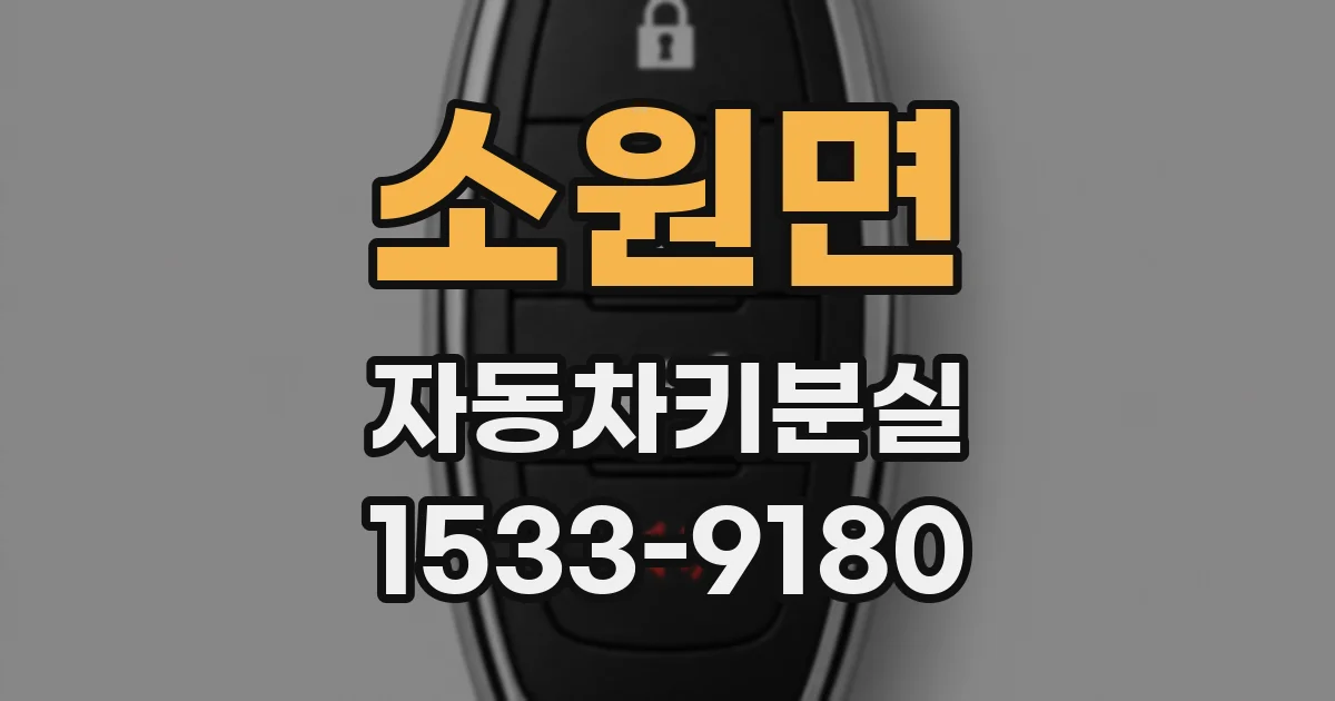 소원면 자동차키분실