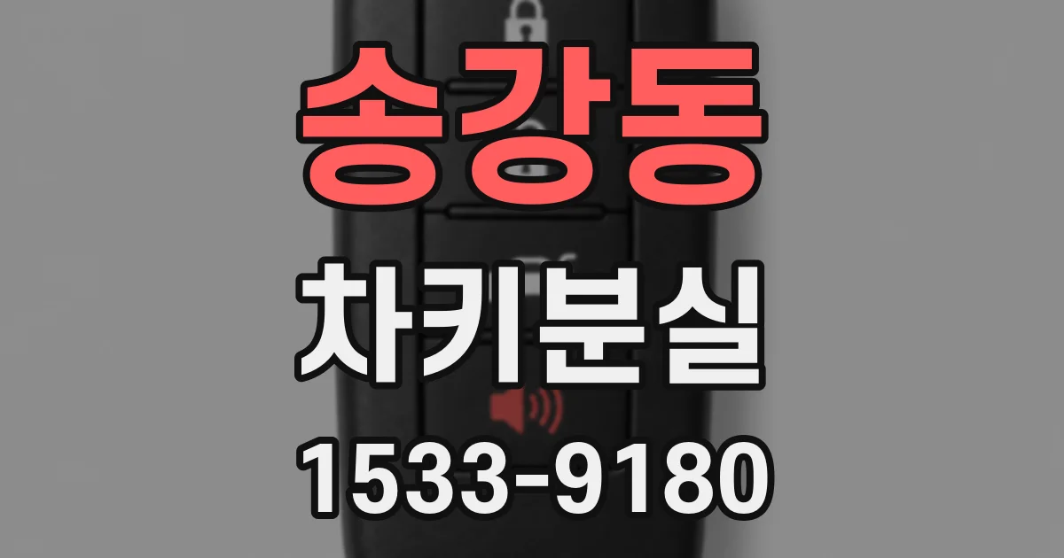 송강동 차키분실