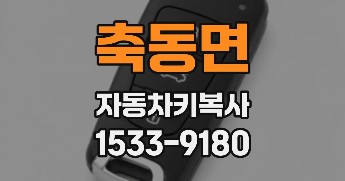 축동면 자동차키복사