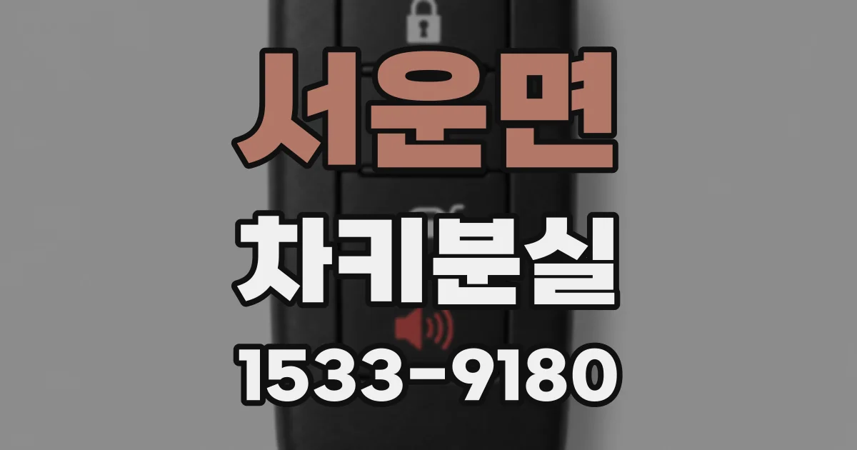 서운면 차키분실